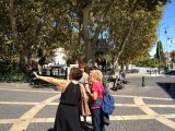 img-0236-800x600-hyeres-tourisme-32032